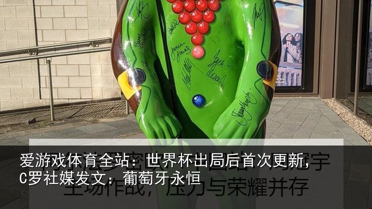 爱游戏体育全站：世界相关情况，C罗社相关情况