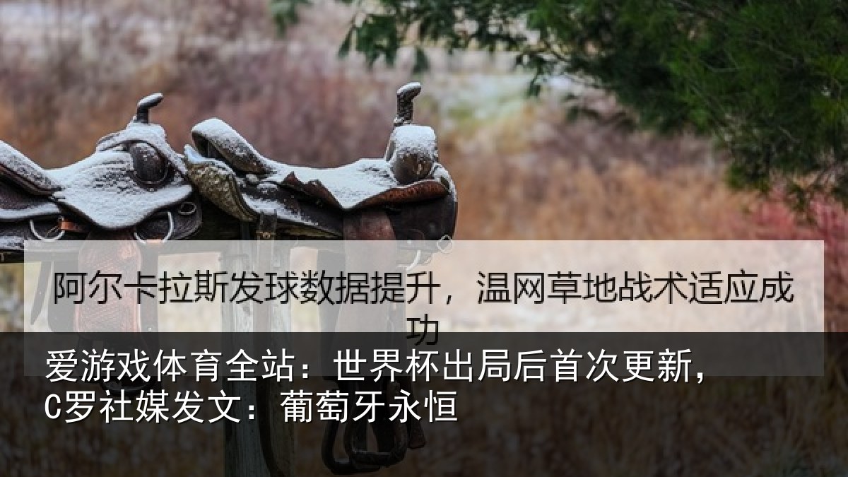 爱游戏体育全站：世界杯出局后首次更新，C罗社媒发文：葡萄牙永恒