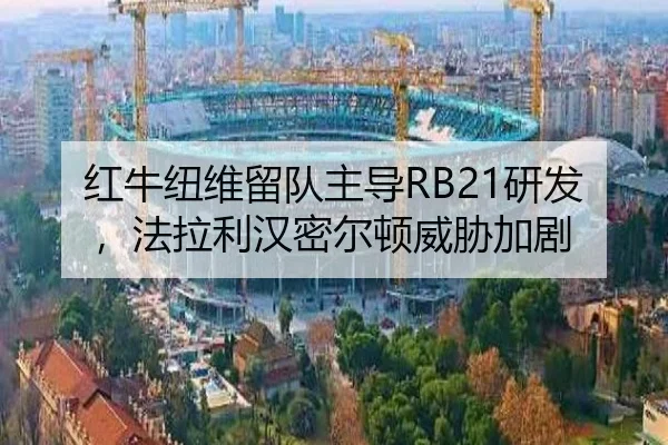 hong-niu-niu-wei-liu-dui-zhu-dao-yan-fa-fa-la-li-han-mi-er-dun-wei-xie-jia-ju-2-954.jpg