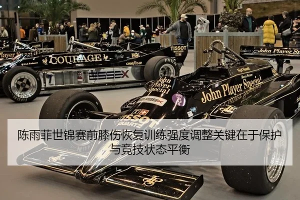 陈雨菲世锦赛前膝伤恢复训练强度调整关键在于保护与竞技状态平衡